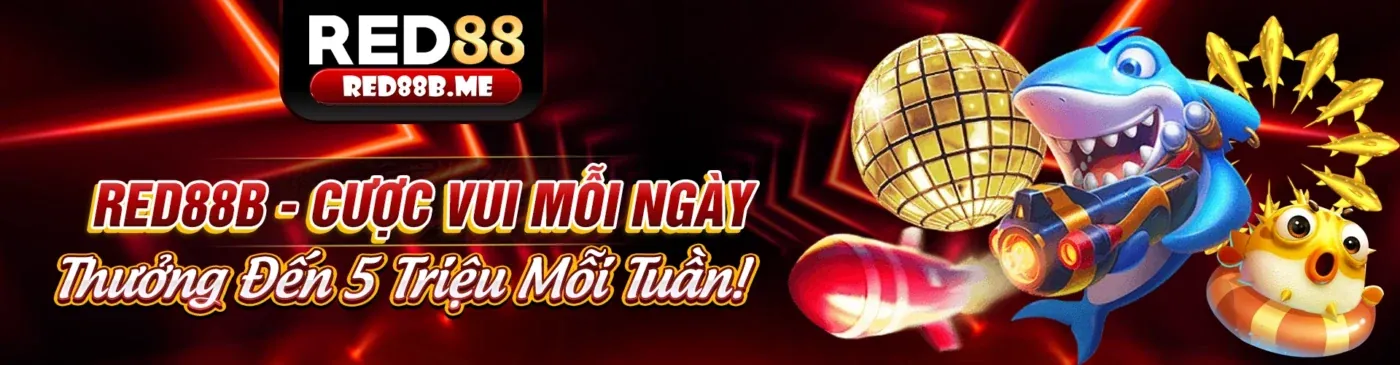 Hình ảnh chính sách Tuân thủ GDPR của nohu88